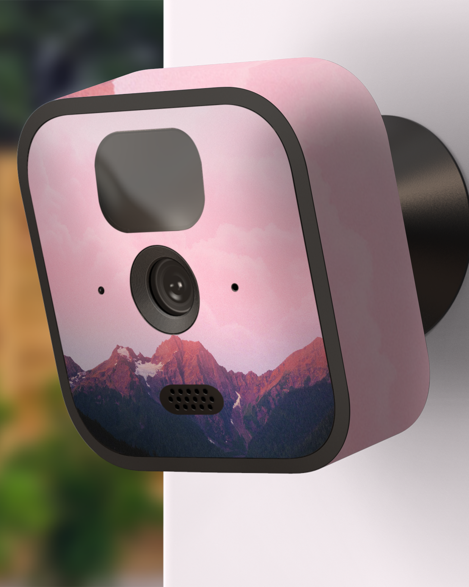 Lake Camera Skin Blink Outdoor (2020) attached to exterior wall