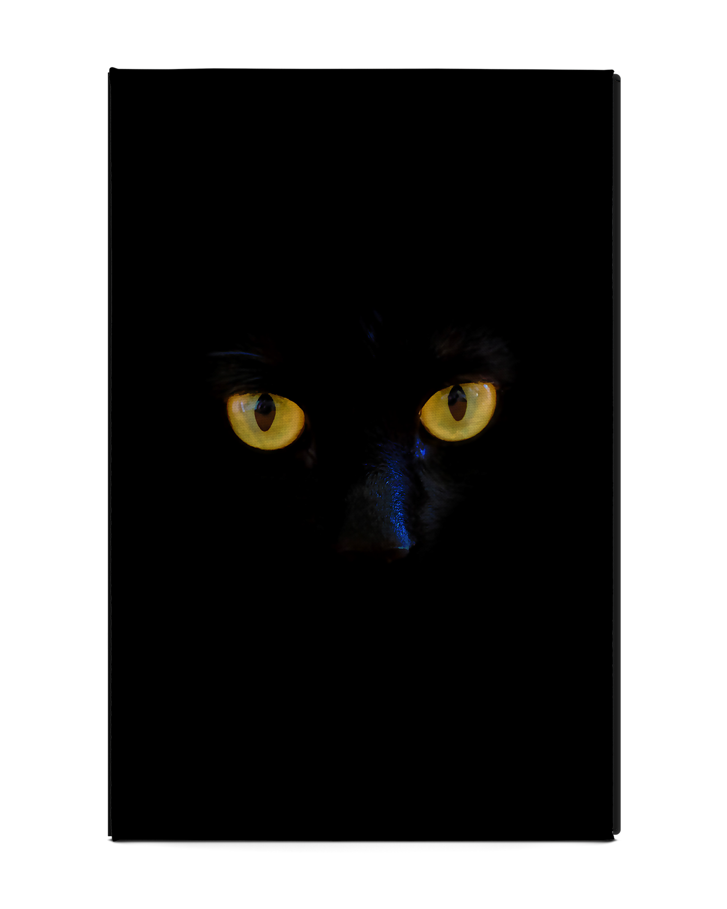 Black Cat Tablet Case L: Back View