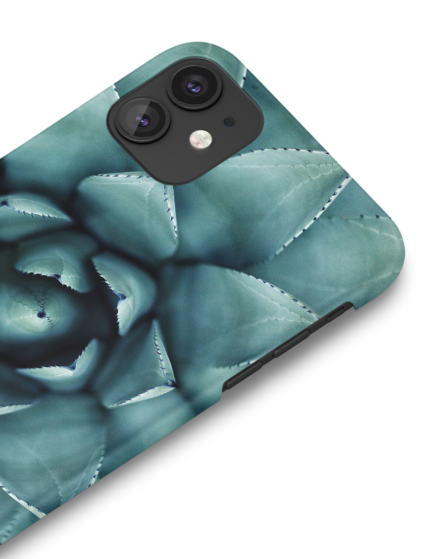 Beautiful Succulent Hard Shell Phone Case Apple iPhone 11: Detail Shot